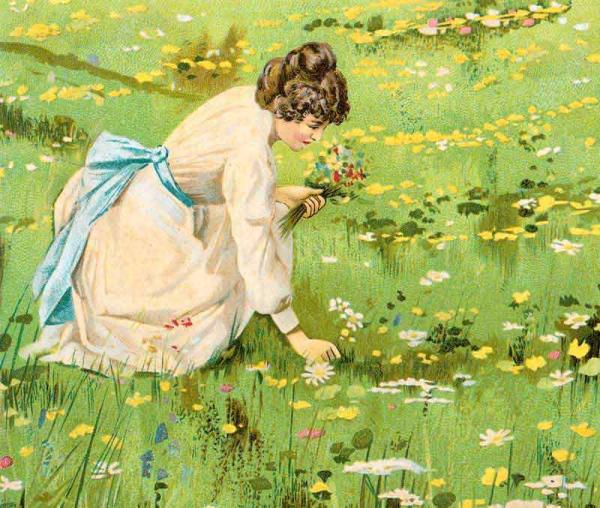 Litho Frau pflückt Blumen Bildauswahl für Bildheizung 70x60